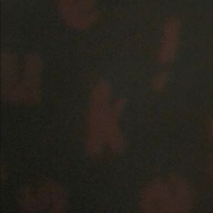 Meet your Posher, Ellaha